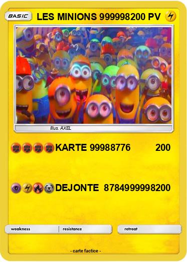 Pokemon LES MINIONS 999998