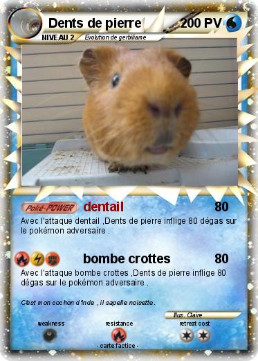 Pokemon Dents de pierre