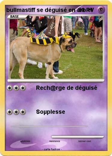 Pokemon bullmastiff se déguisé en arbiel