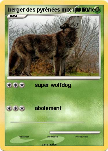 Pokemon berger des pyrénées mix qui hurle