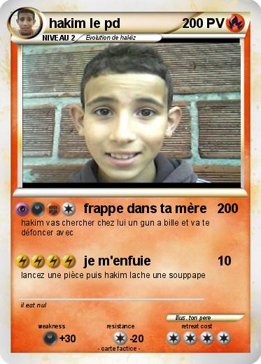 Pokemon hakim le pd