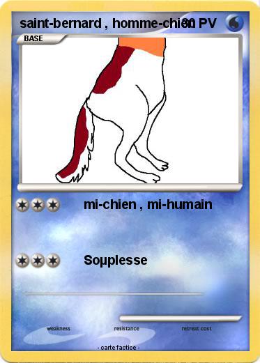 Pokemon saint-bernard , homme-chien