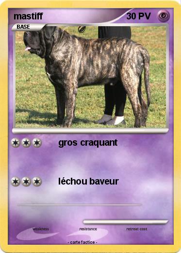 Pokemon mastiff