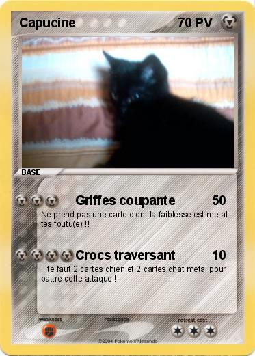 Pokemon Capucine