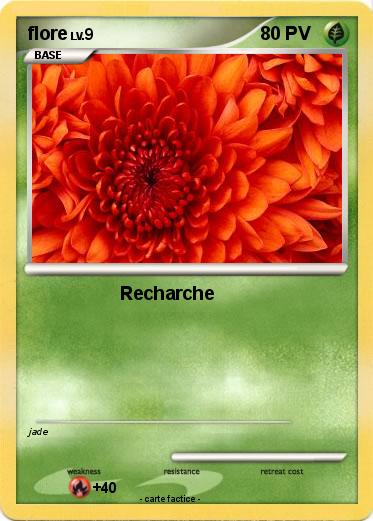 Pokemon flore