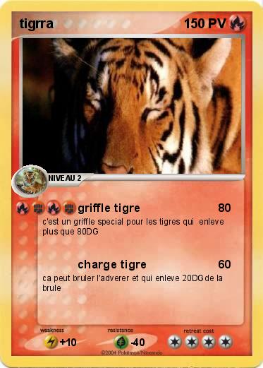 Pokemon tigrra