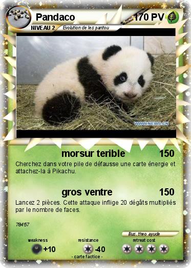 Pokemon Pandaco