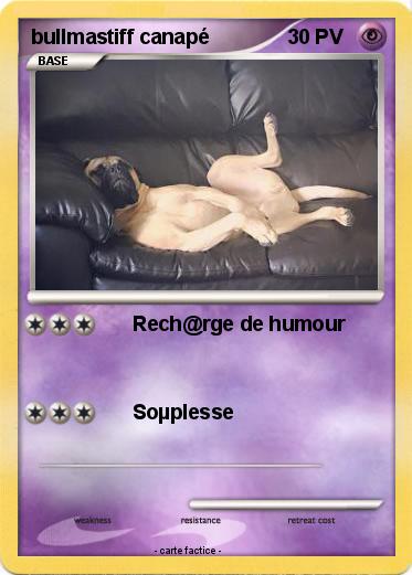 Pokemon bullmastiff canapé