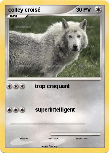 Pokemon colley croisé