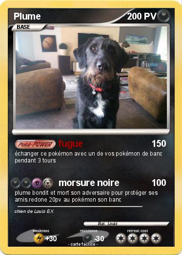 Pokemon Plume