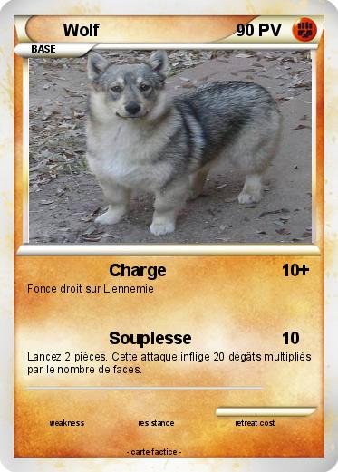 Pokemon Wolf