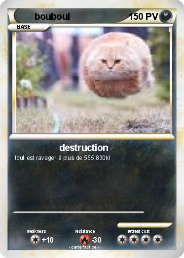 Pokemon bouboul