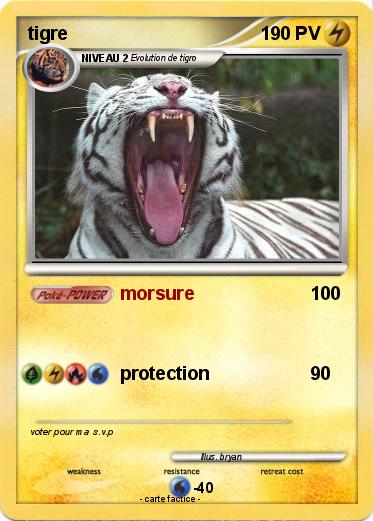 Pokemon tigre