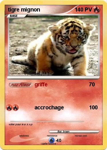 Pokemon tigre mignon