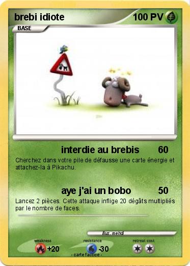 Pokemon brebi idiote