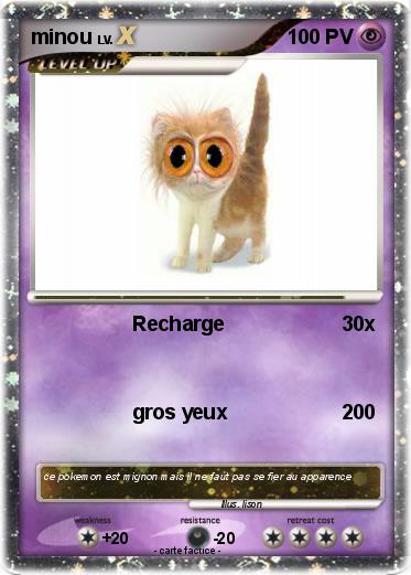 Pokemon minou