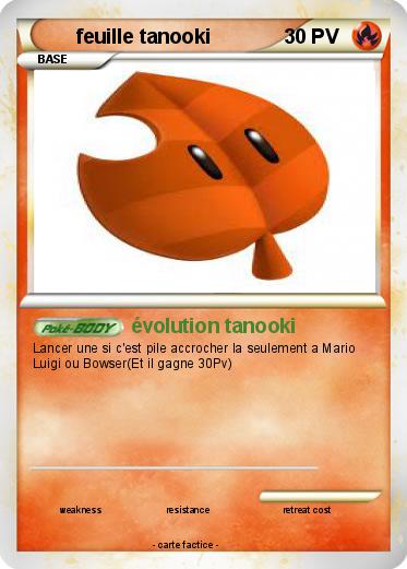 Pokemon feuille tanooki