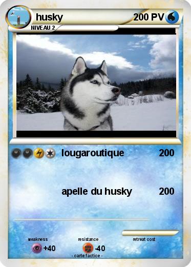 Pokemon husky