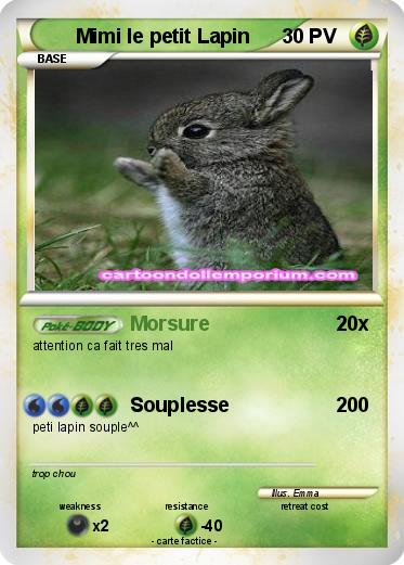 Pokemon Mimi le petit Lapin