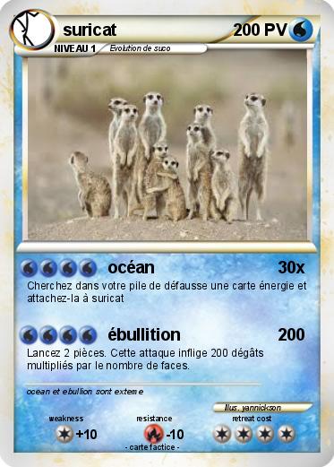 Pokemon suricat
