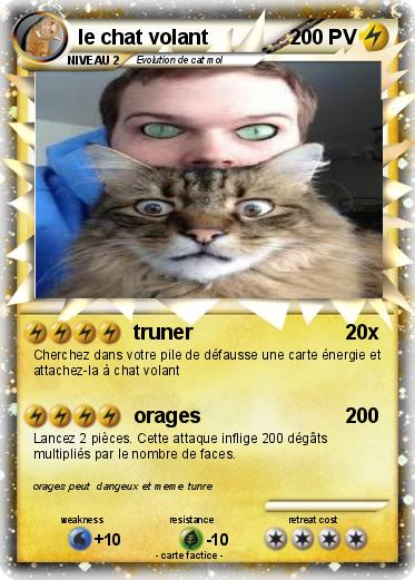 Pokemon le chat volant