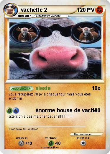 Pokemon vachette 2