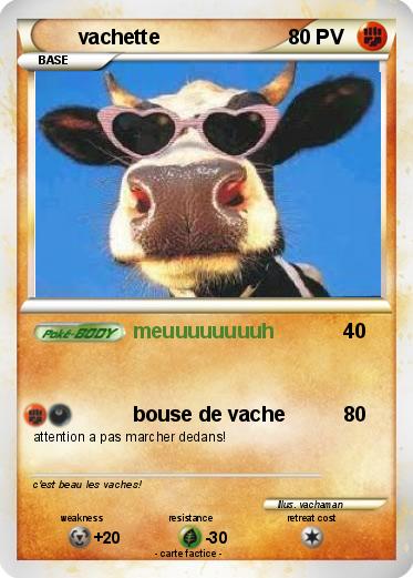 Pokemon vachette