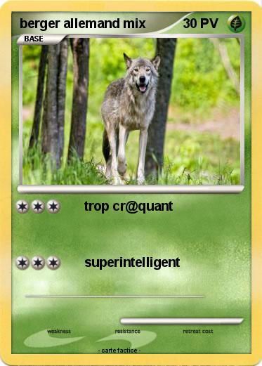 Pokemon berger allemand mix