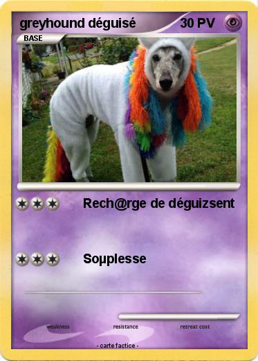 Pokemon greyhound déguisé