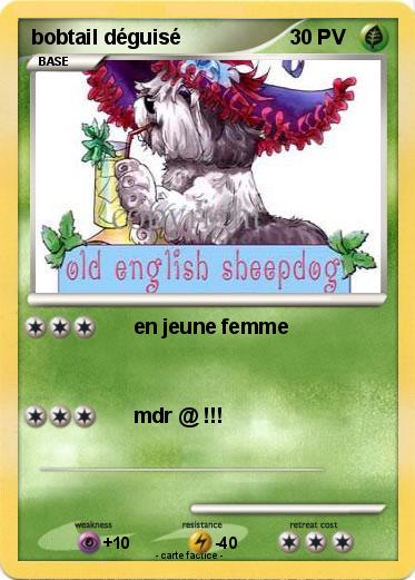 Pokemon bobtail déguisé