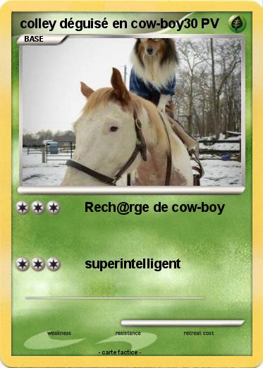 Pokemon colley déguisé en cow-boy