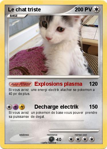 Pokemon Le chat triste