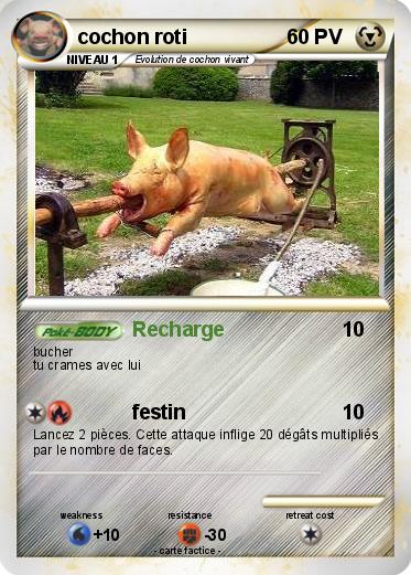 Pokemon cochon roti