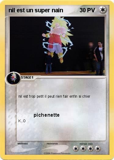 Pokemon nil est un super nain 