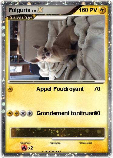 Pokemon Fulguris