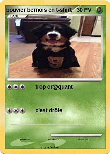 Pokemon bouvier bernois en t-shirt