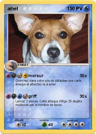 Pokemon amel