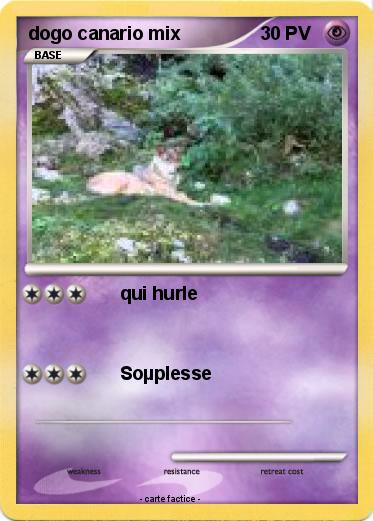 Pokemon dogo canario mix