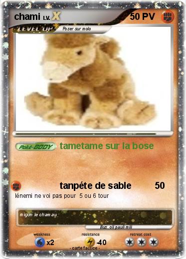 Pokemon chami