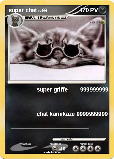 Pokemon super chat