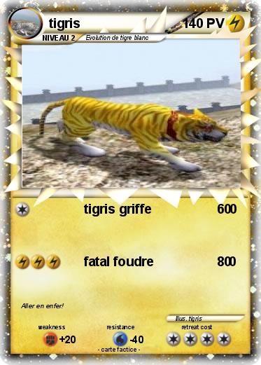 Pokemon tigris