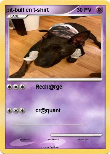 Pokemon pit-bull en t-shirt