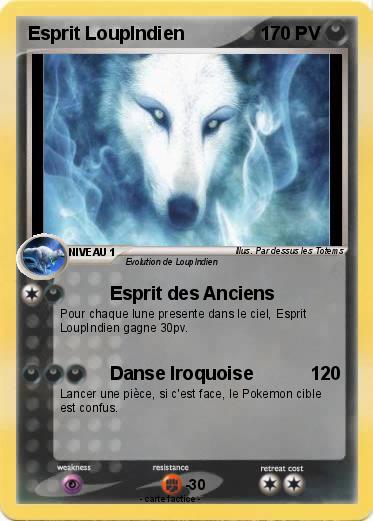 Pokemon Esprit LoupIndien