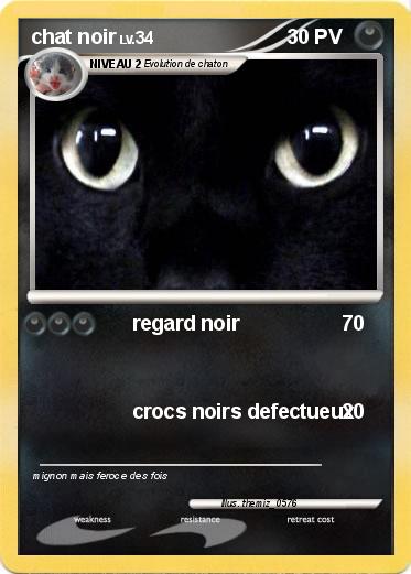 Pokemon chat noir