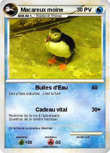 Pokemon Macareux moine