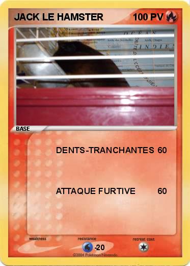 Pokemon JACK LE HAMSTER