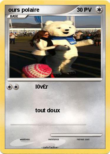 Pokemon ours polaire