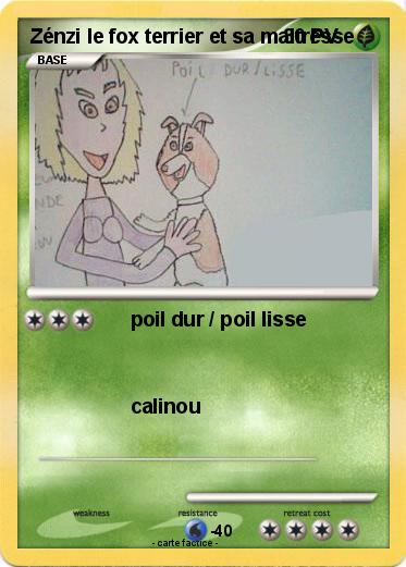 Pokemon Zénzi le fox terrier et sa maitresse