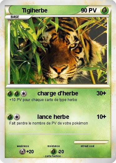 Pokemon Tigiherbe
