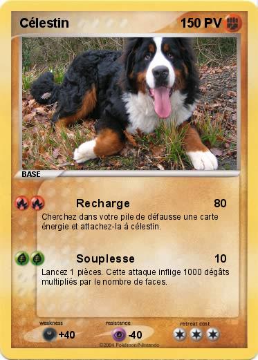 Pokemon Célestin